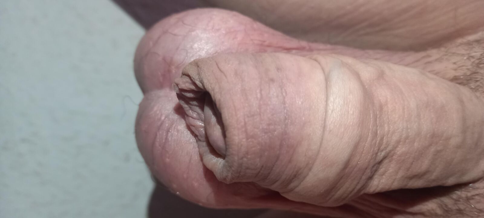 Pene grande