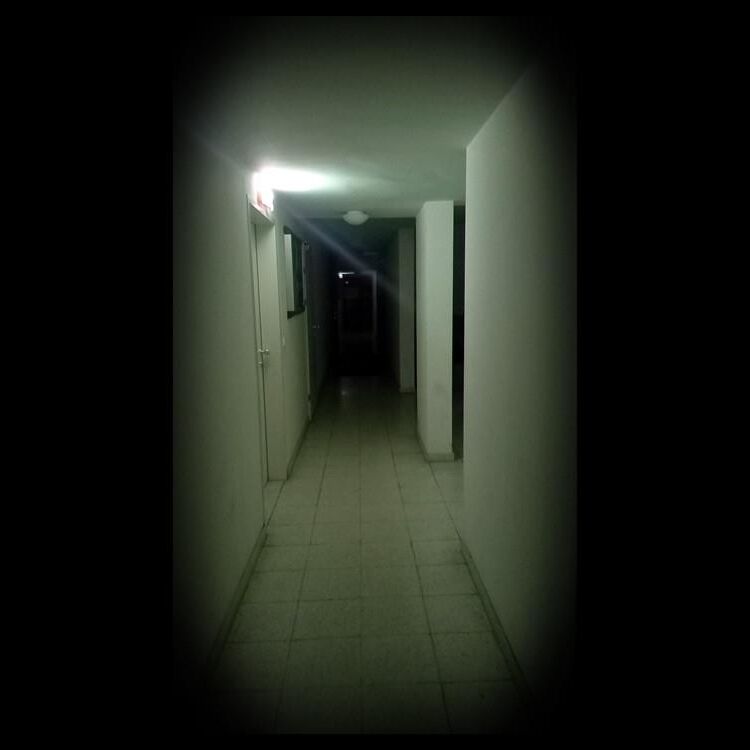 Hursebilder