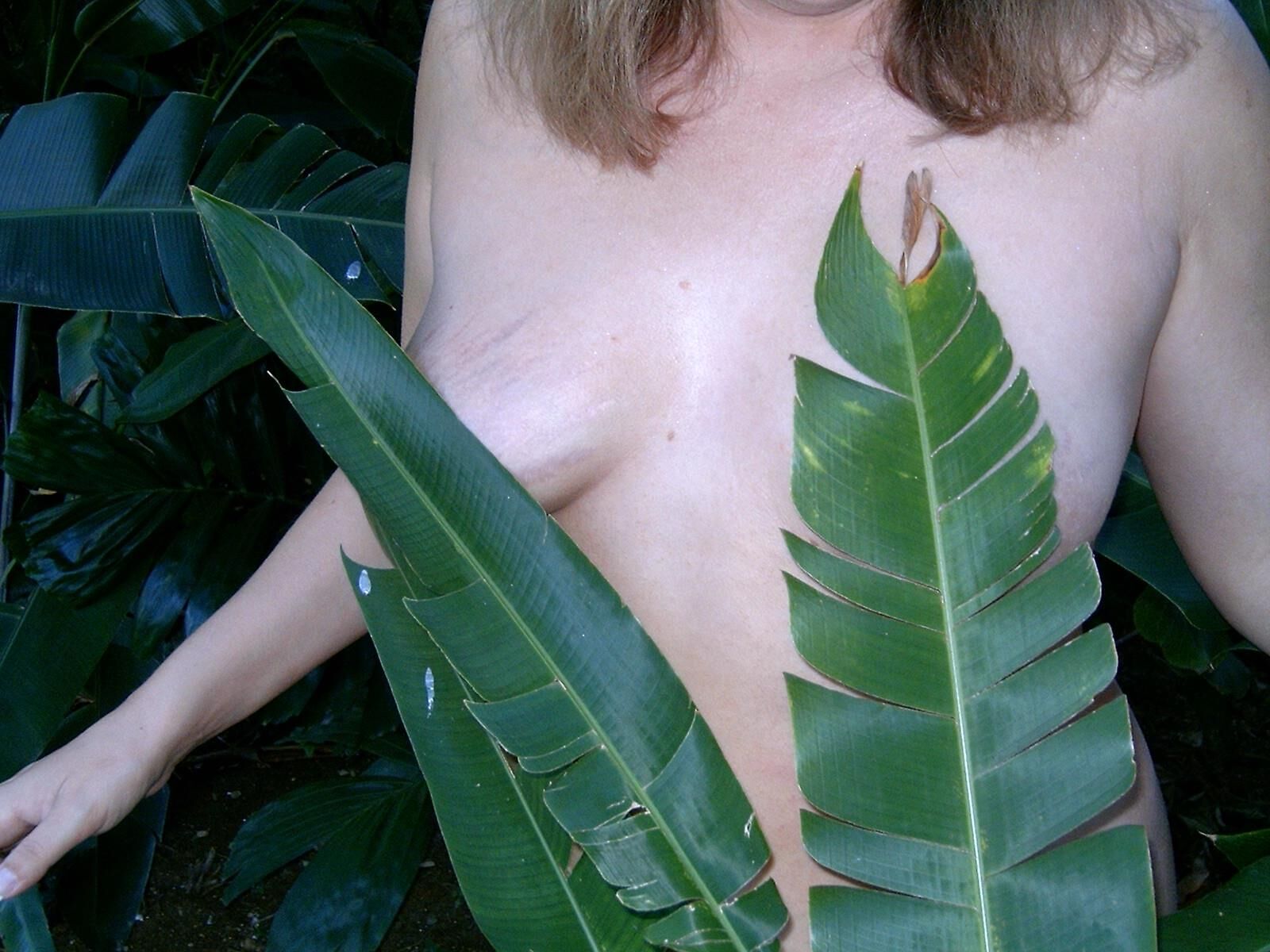 Coquine laly