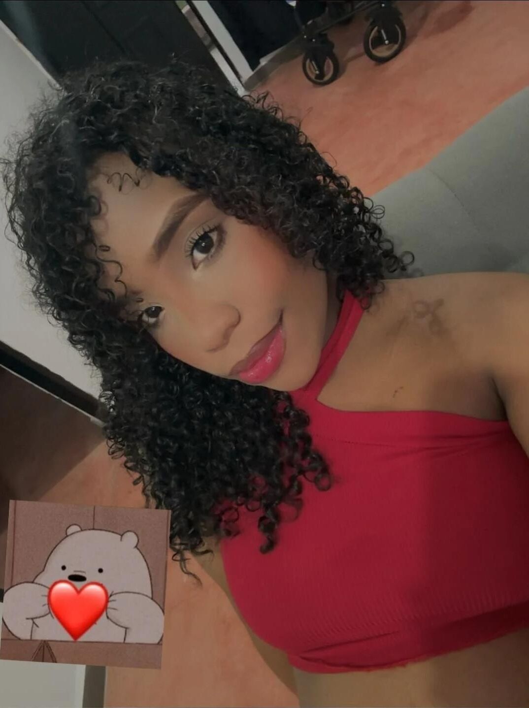 Carissa élevée