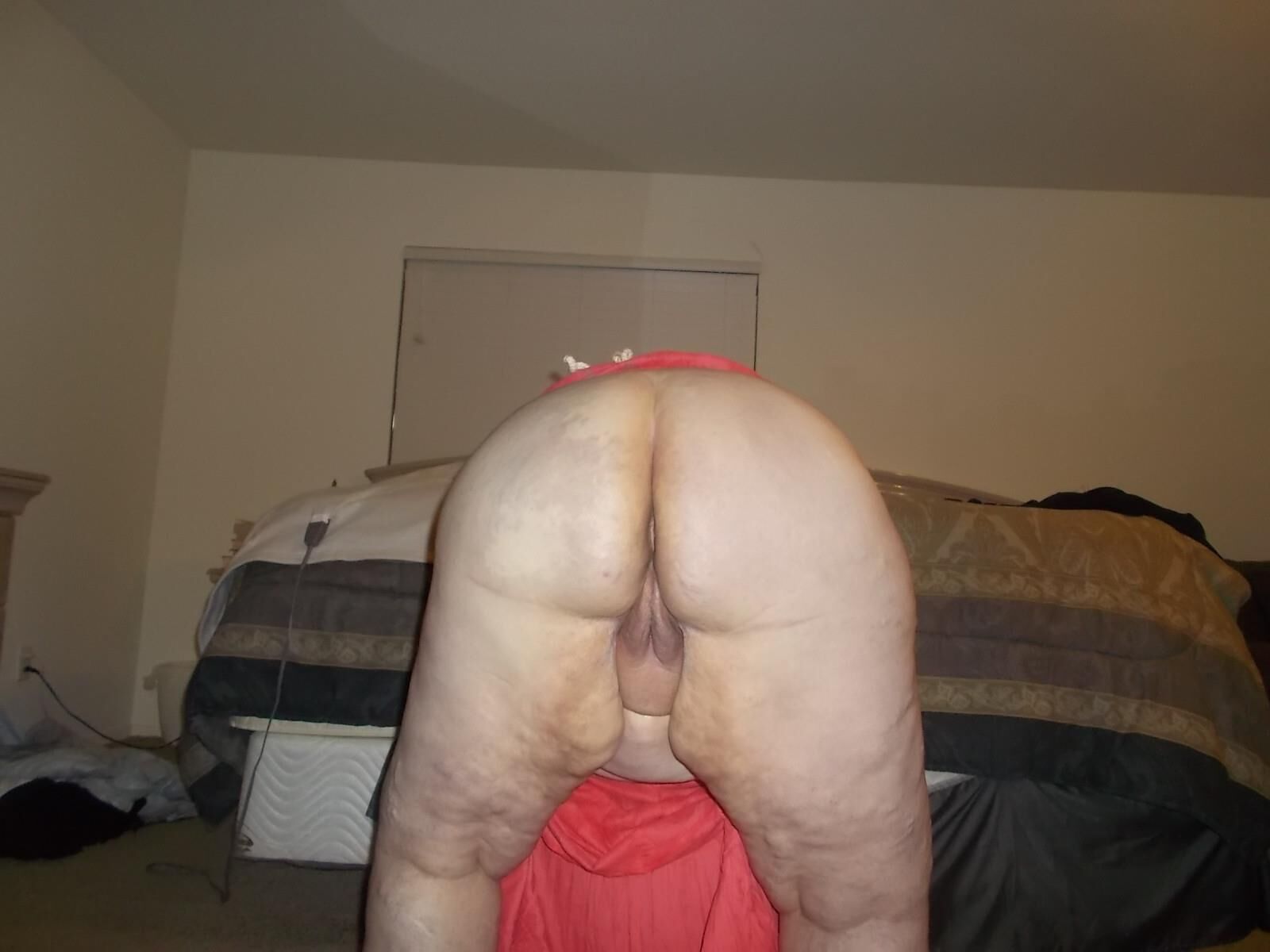 Mme Piggy Pics