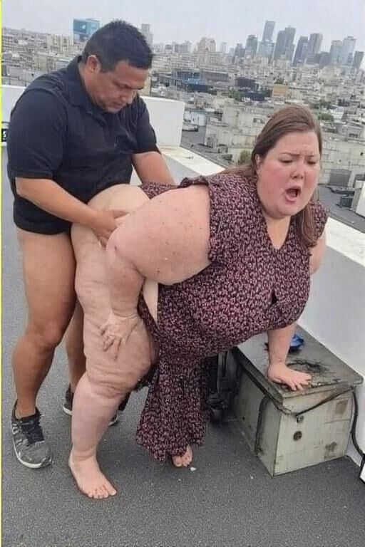 Dach BBWS
