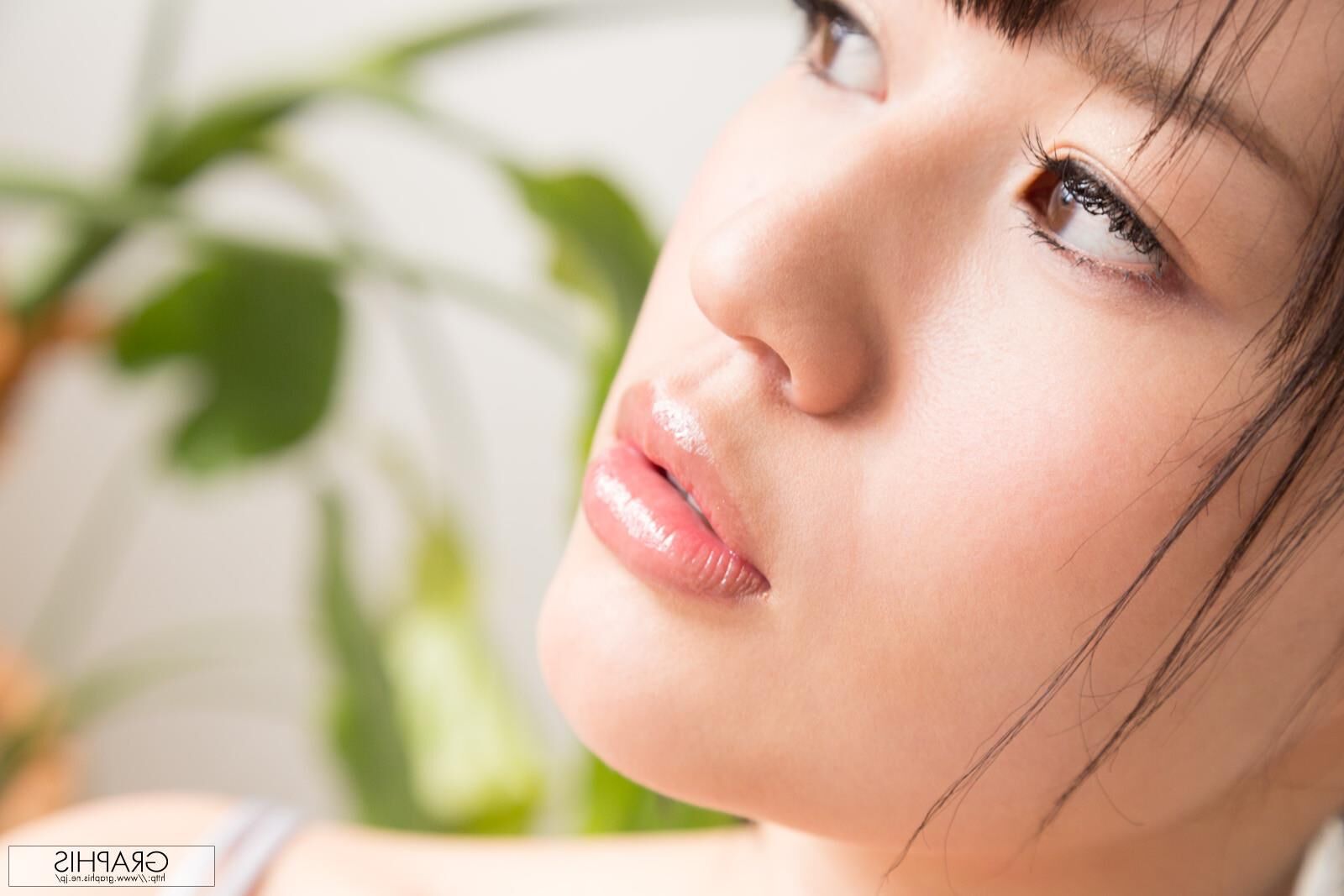Riko Honda Graphisgals No.透明性