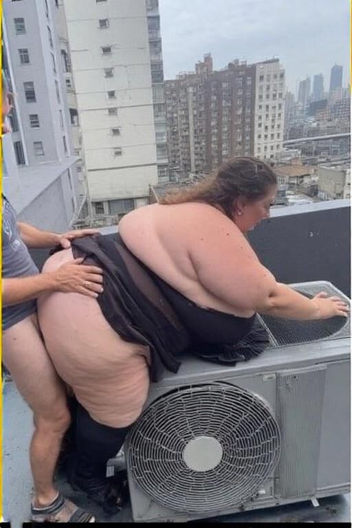 Dach BBWS
