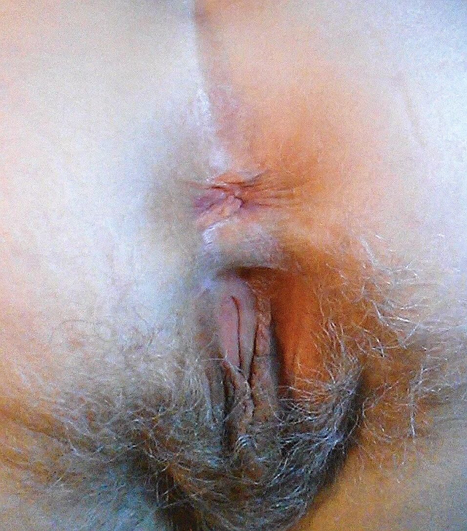 Gattin
