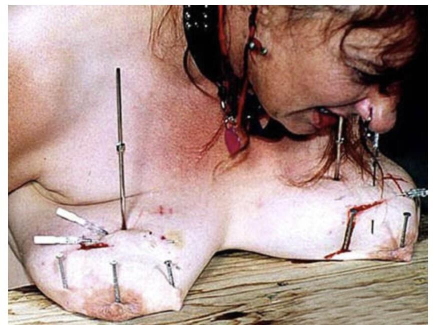 feminismo seus órgãos genitais são apenas carne