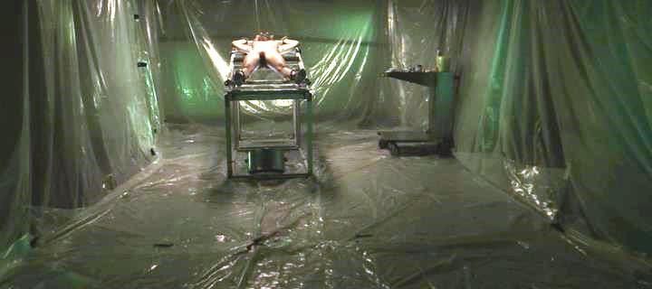 Stills 