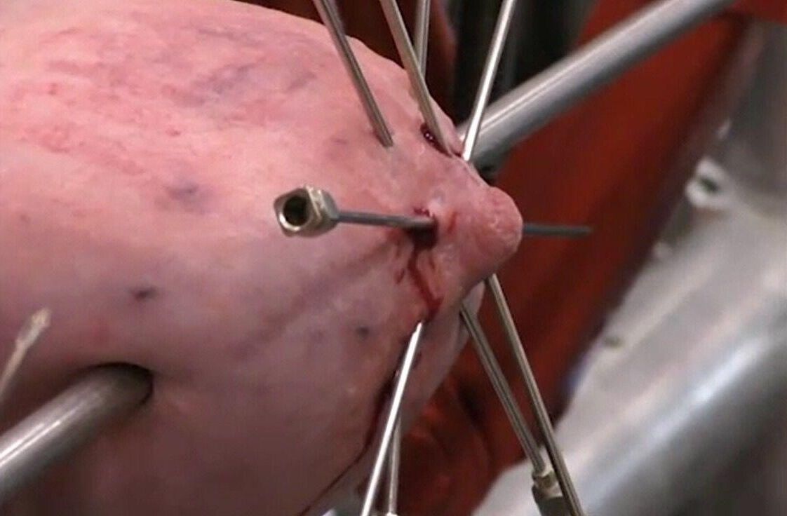 フェミニズムあなたの性器は単なる肉です
