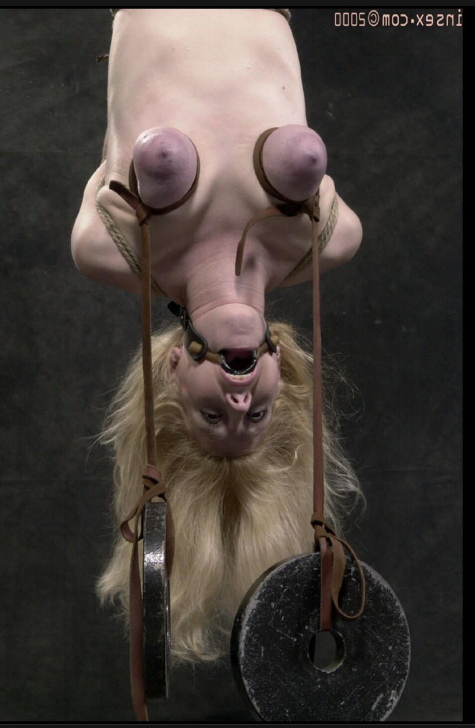 Slavegirls Salacy Vol.
