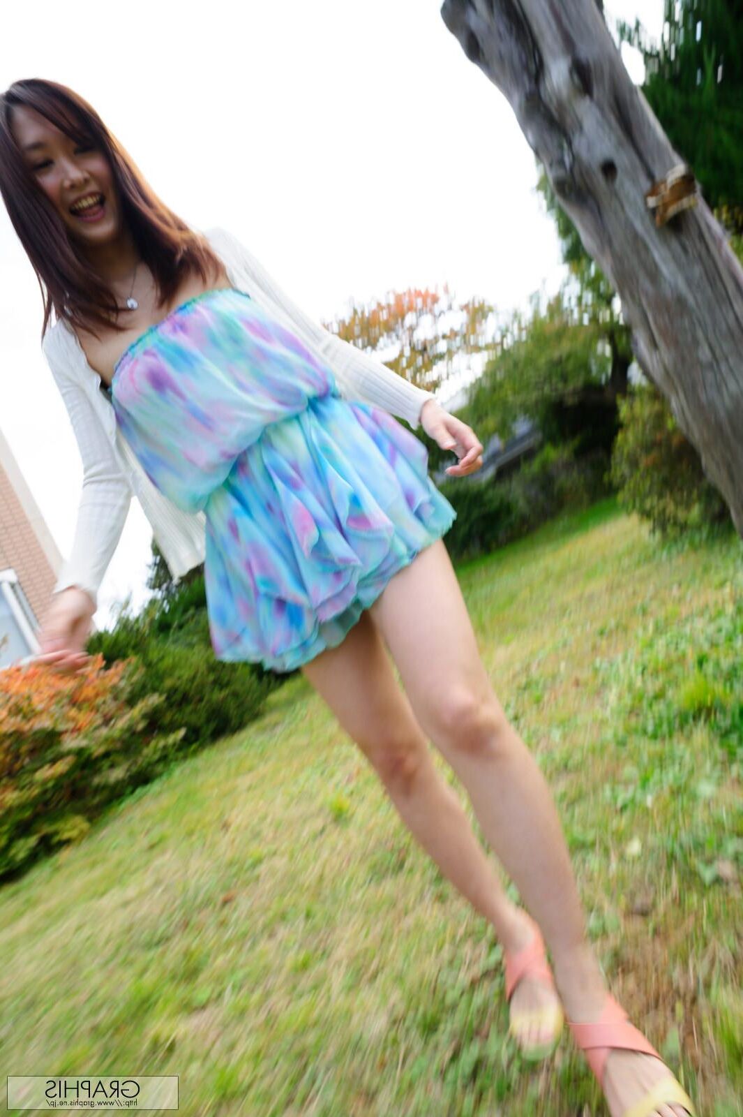 Nono Mizusawa Graphisgals No. Carnivore Girls