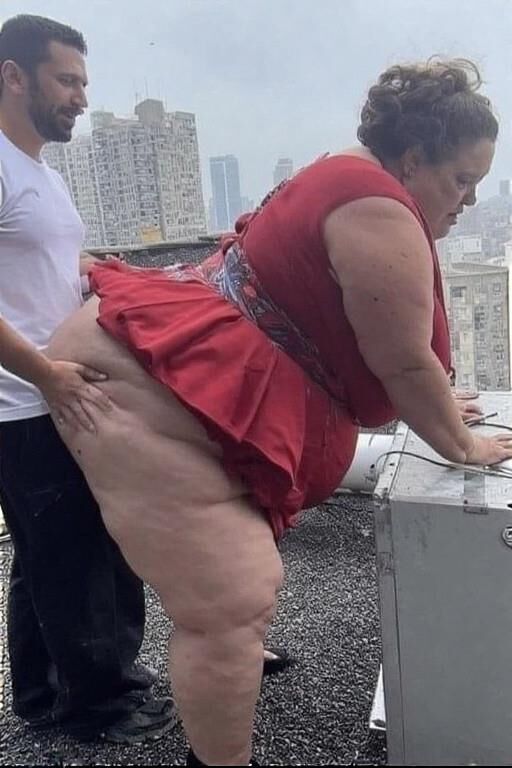 Dach BBWS