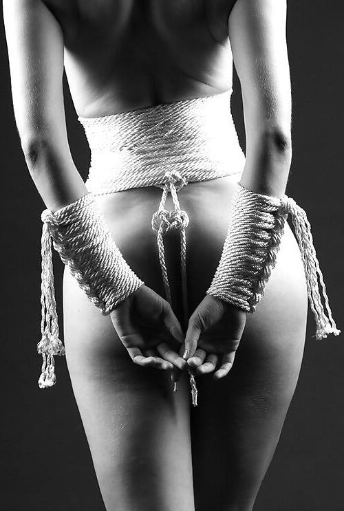 ROPE ART NOVAS ADIDIÇÕES VOL.