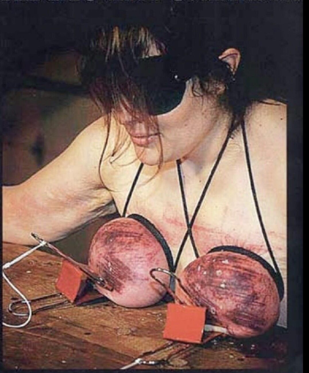 feminismo seus órgãos genitais são apenas carne