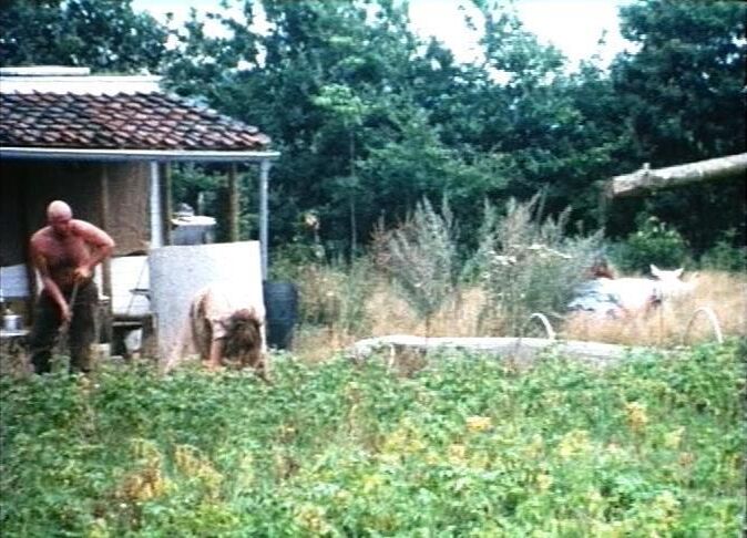 Stills 