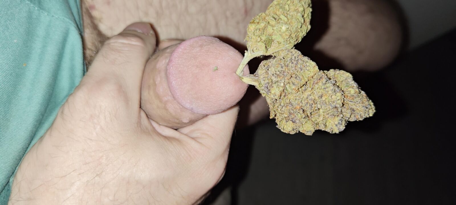Mein Schwanz auf Weed Gras THC