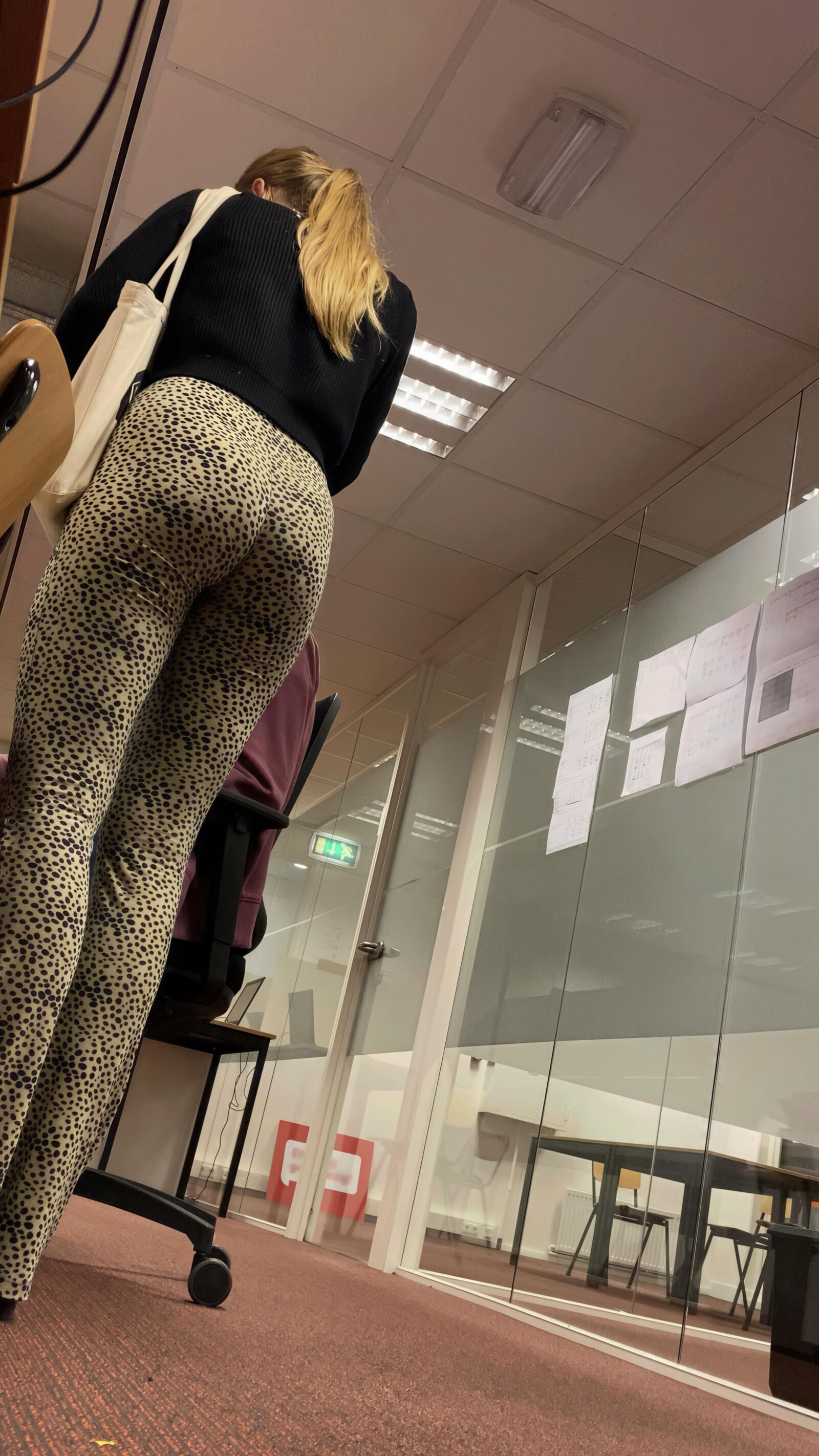 lvbottomcollegecandidass billen s J Especial