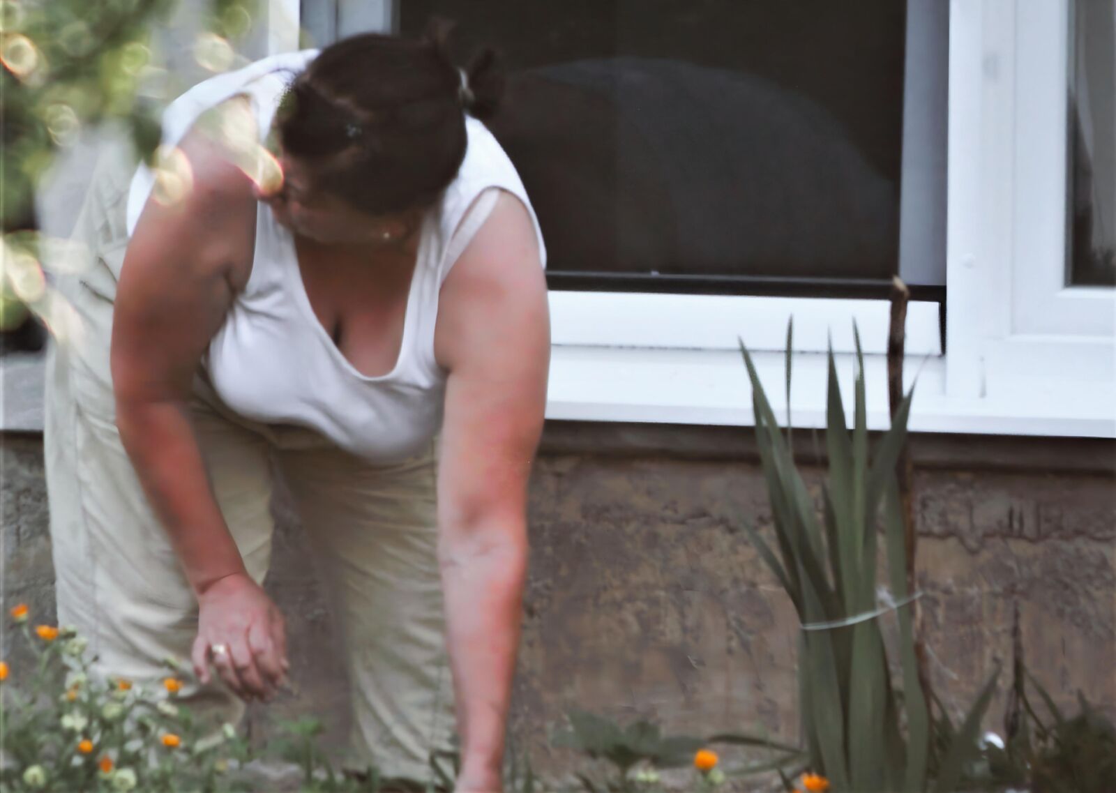 Jardinería