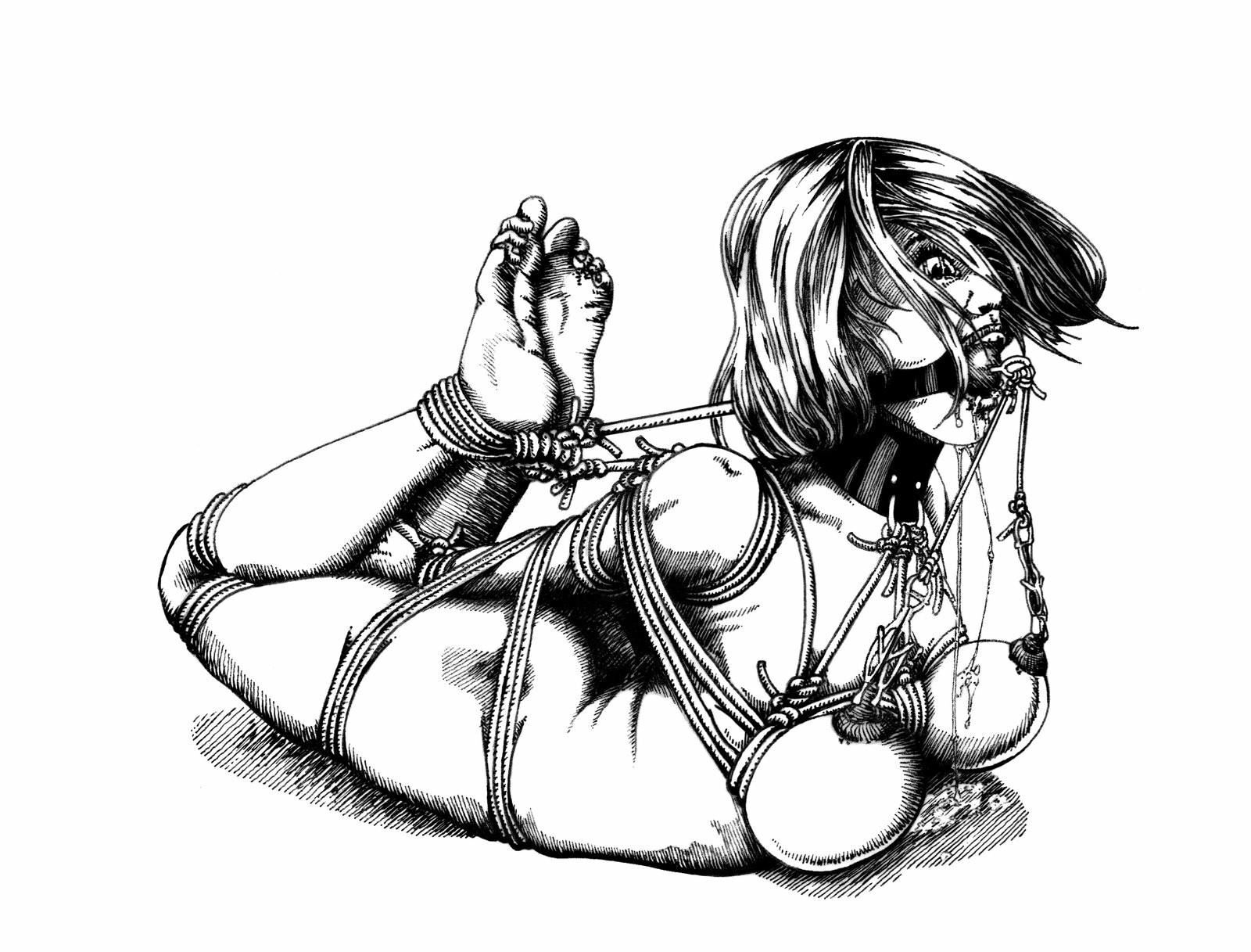 Extreme BDSM Art de Danlaura