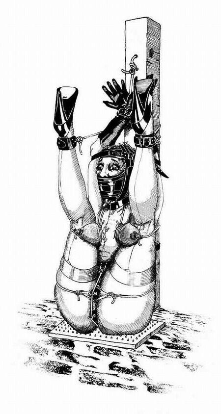 Extreme BDSM Art de Danlaura