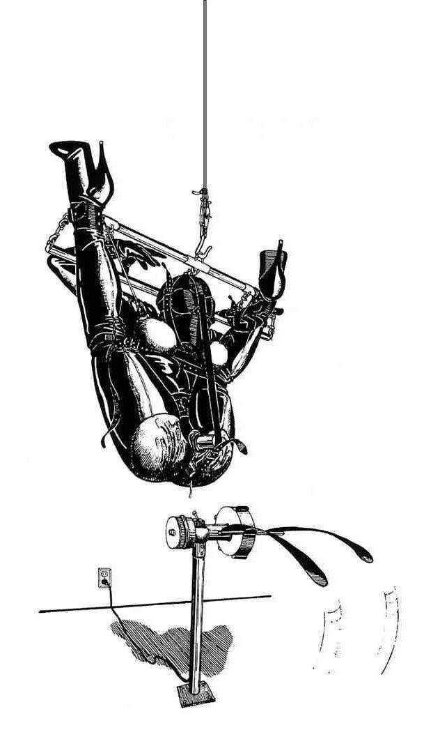 Extreme BDSM Art de Danlaura