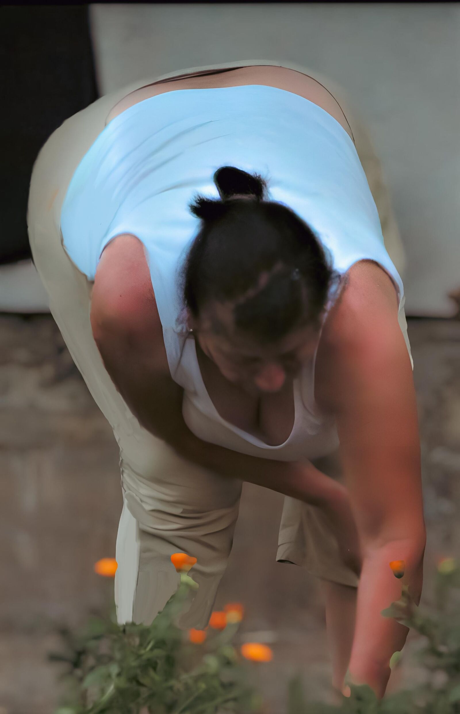 Jardinería