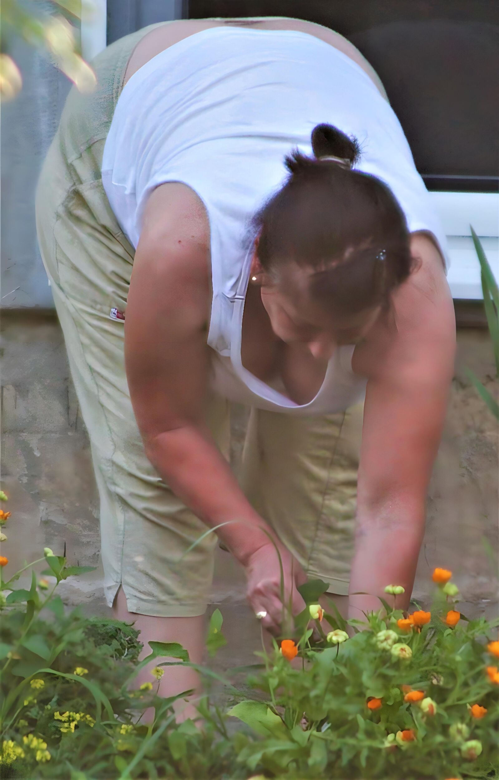 Jardinería