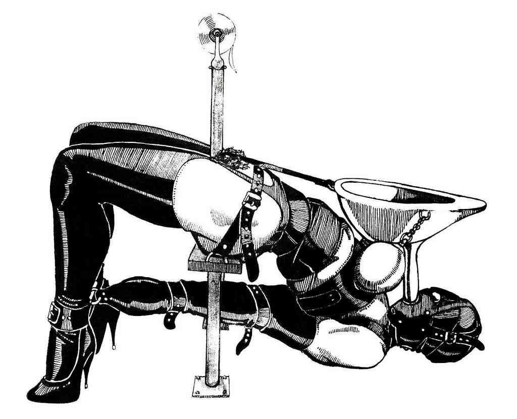 Extreme BDSM Art de Danlaura