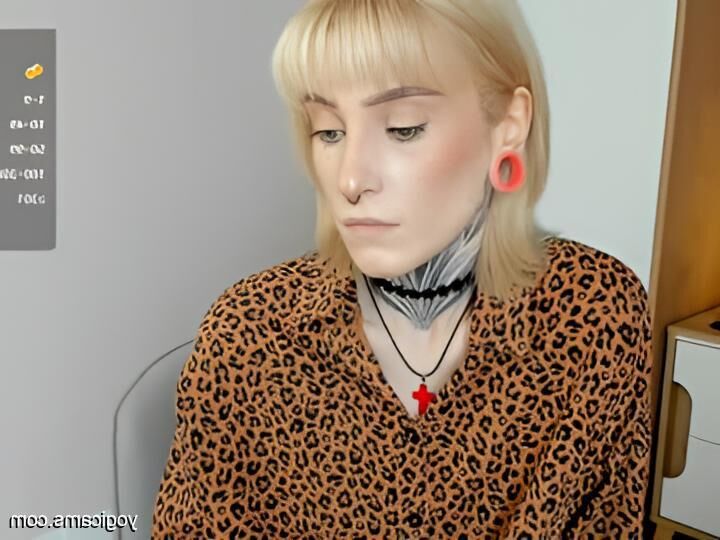 Melhor do trans amador trans