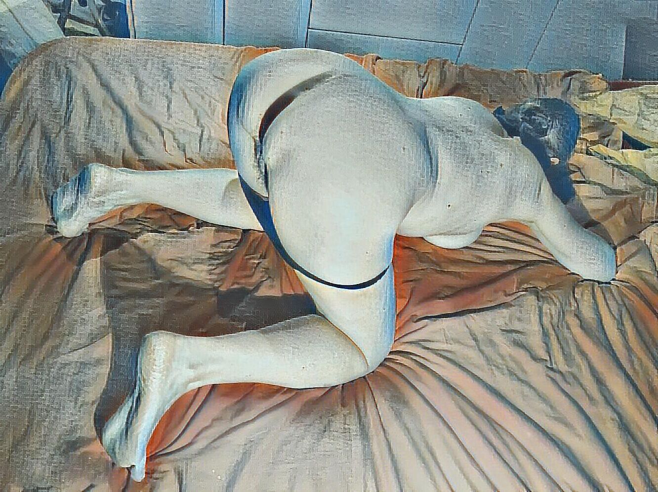 Esperando un perrito