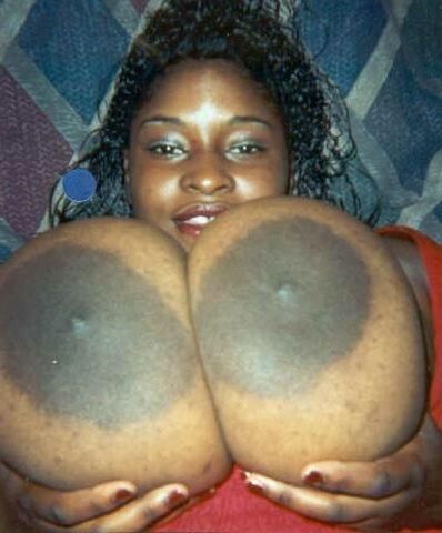 Black Tits Vol. 