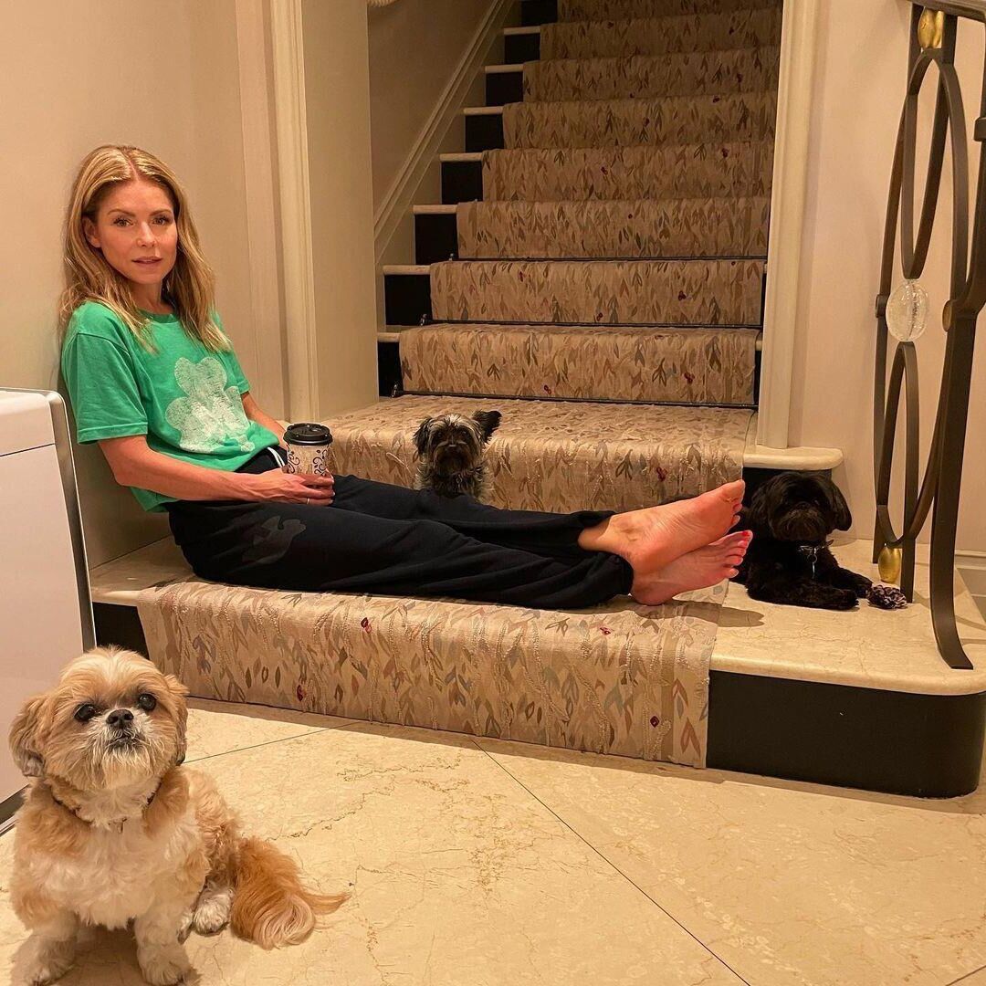 Kelly Ripa 