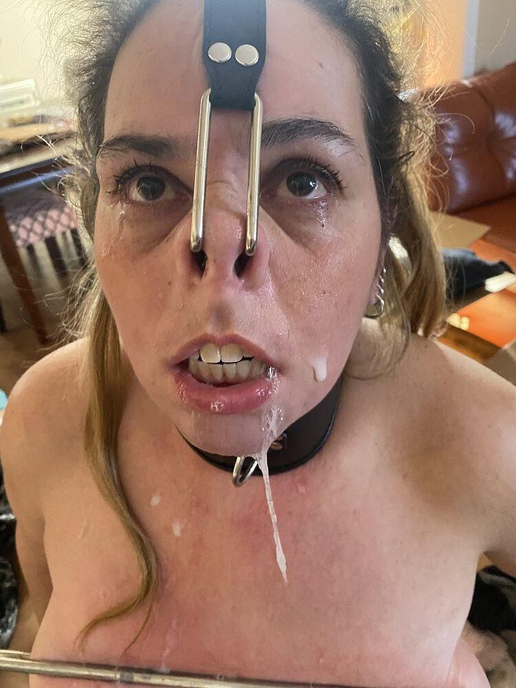 Faces 
