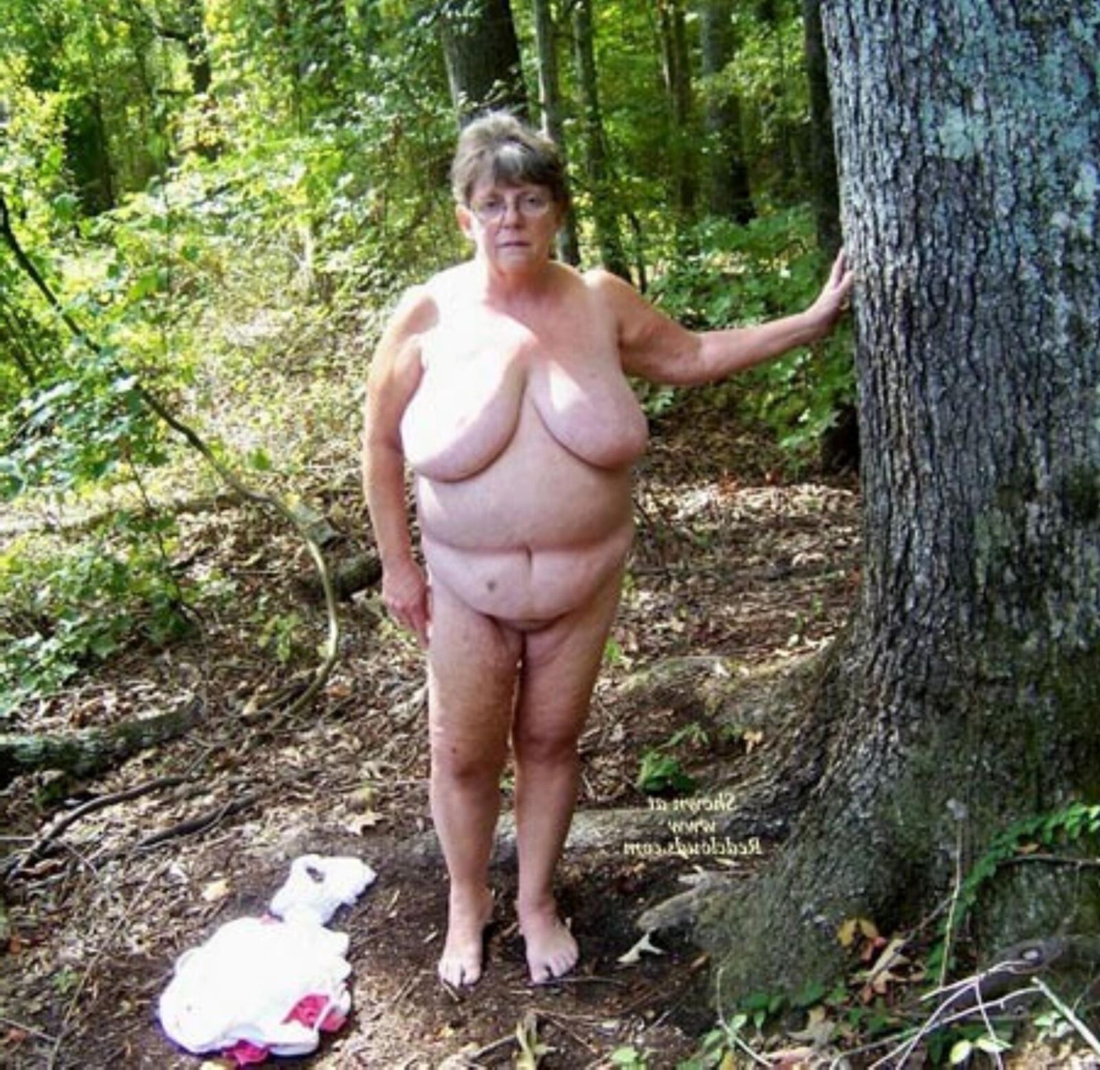 Moyenne