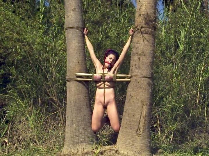 Enjoying the Outdoors 
