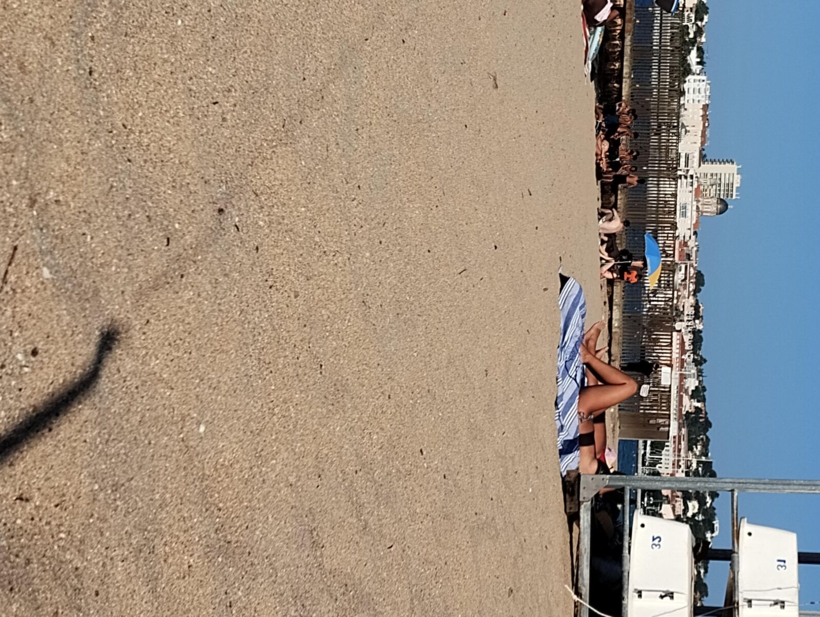 Coquines à la Page de Frejus