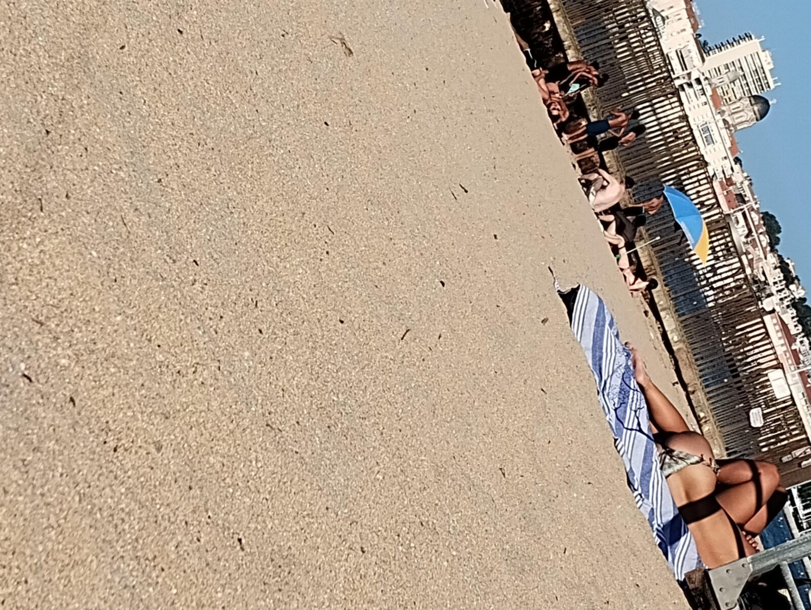 Coquines à la Page de Frejus