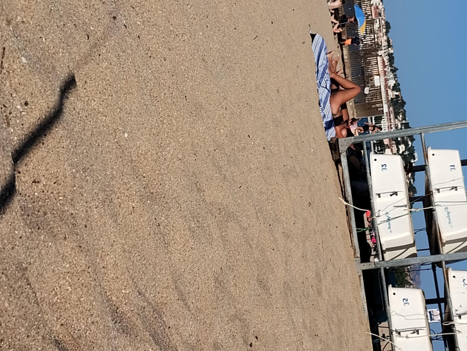 Coquines à la Page de Frejus