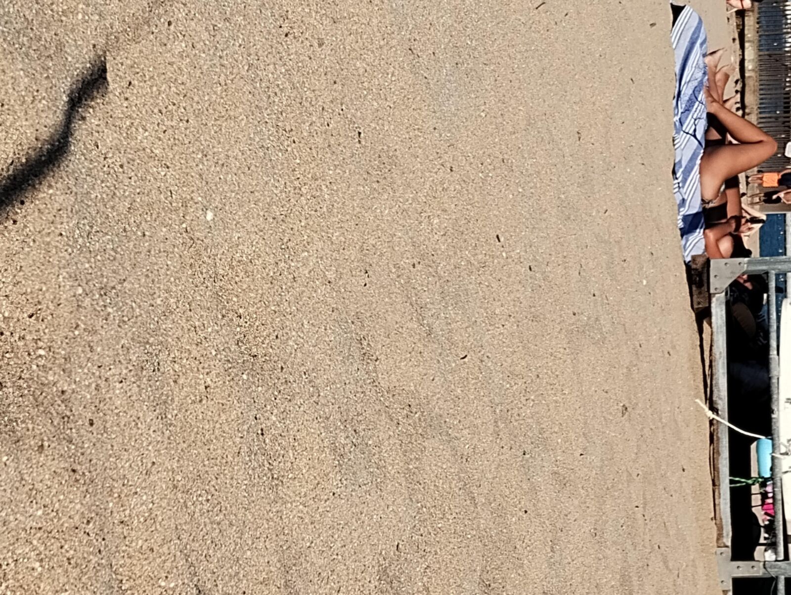 Coquines à la Page de Frejus