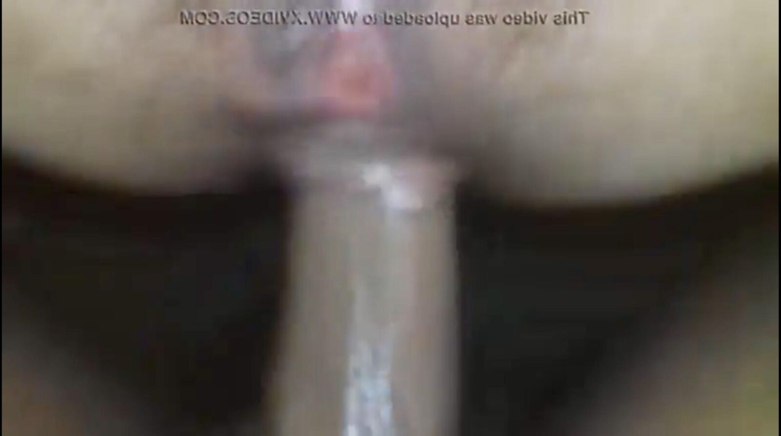 女性はお尻を引き裂きます