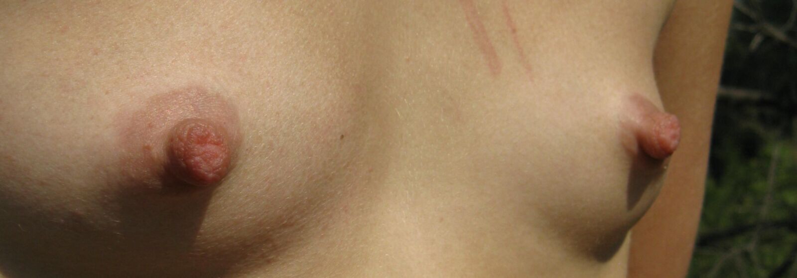 seins j'aime