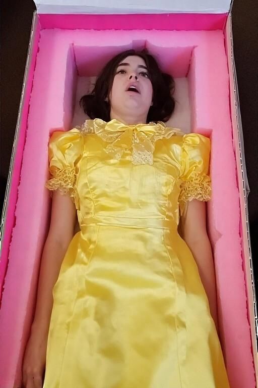 Boxed Up FuckDolls ai