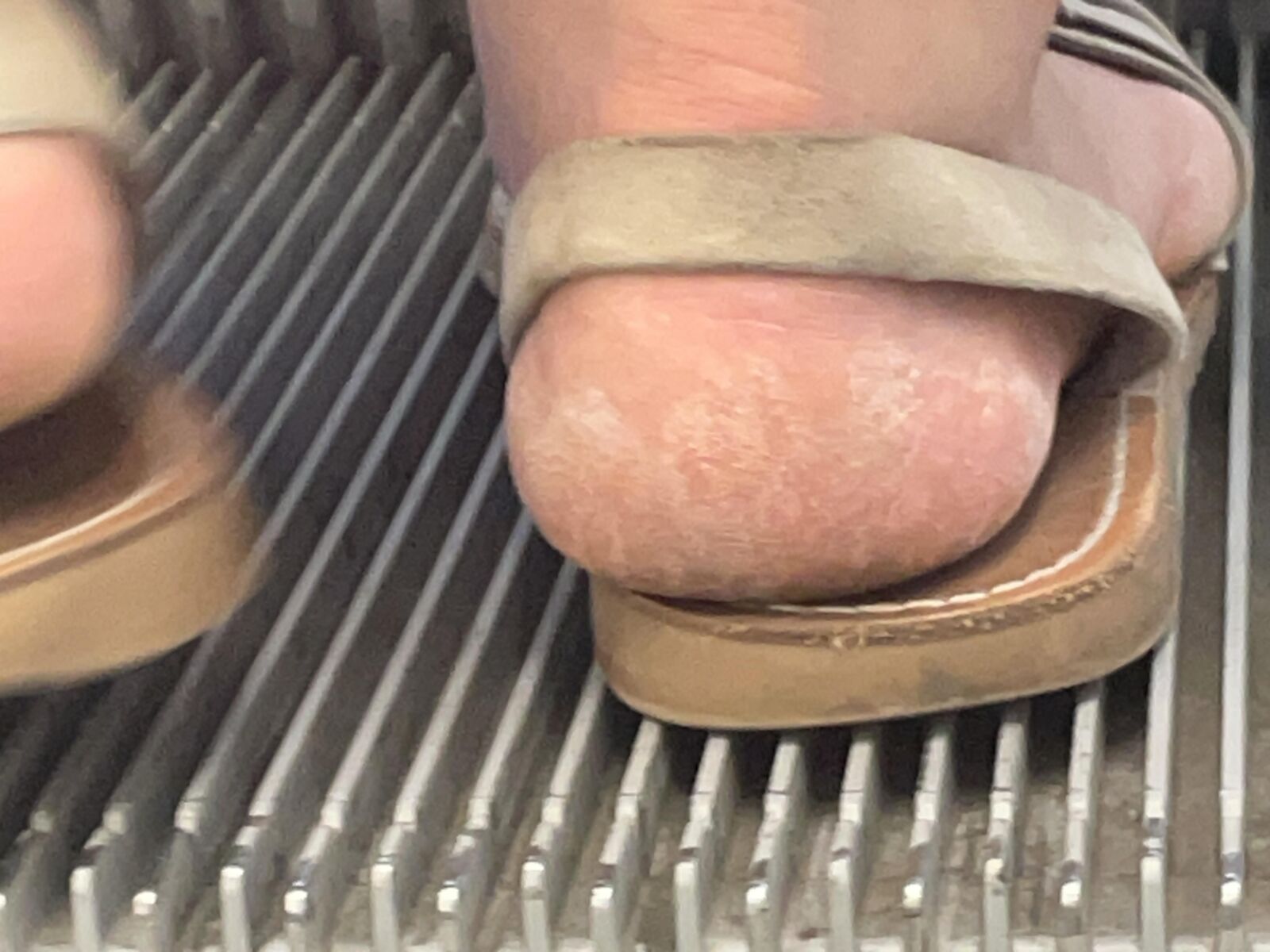 バービーの無愛想なかかと