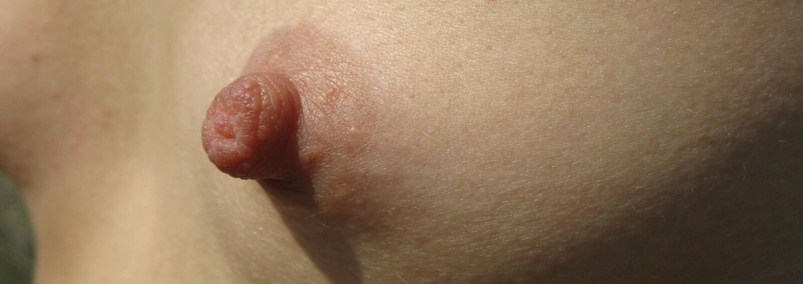 seins j'aime