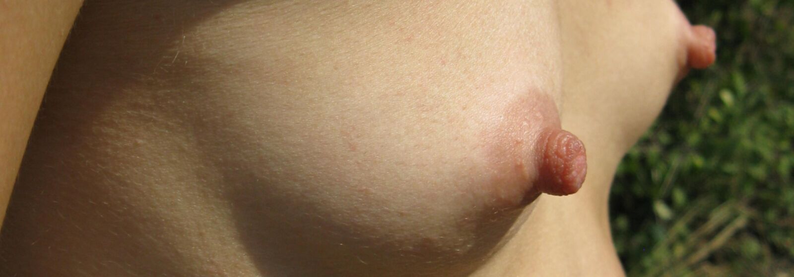 seins j'aime