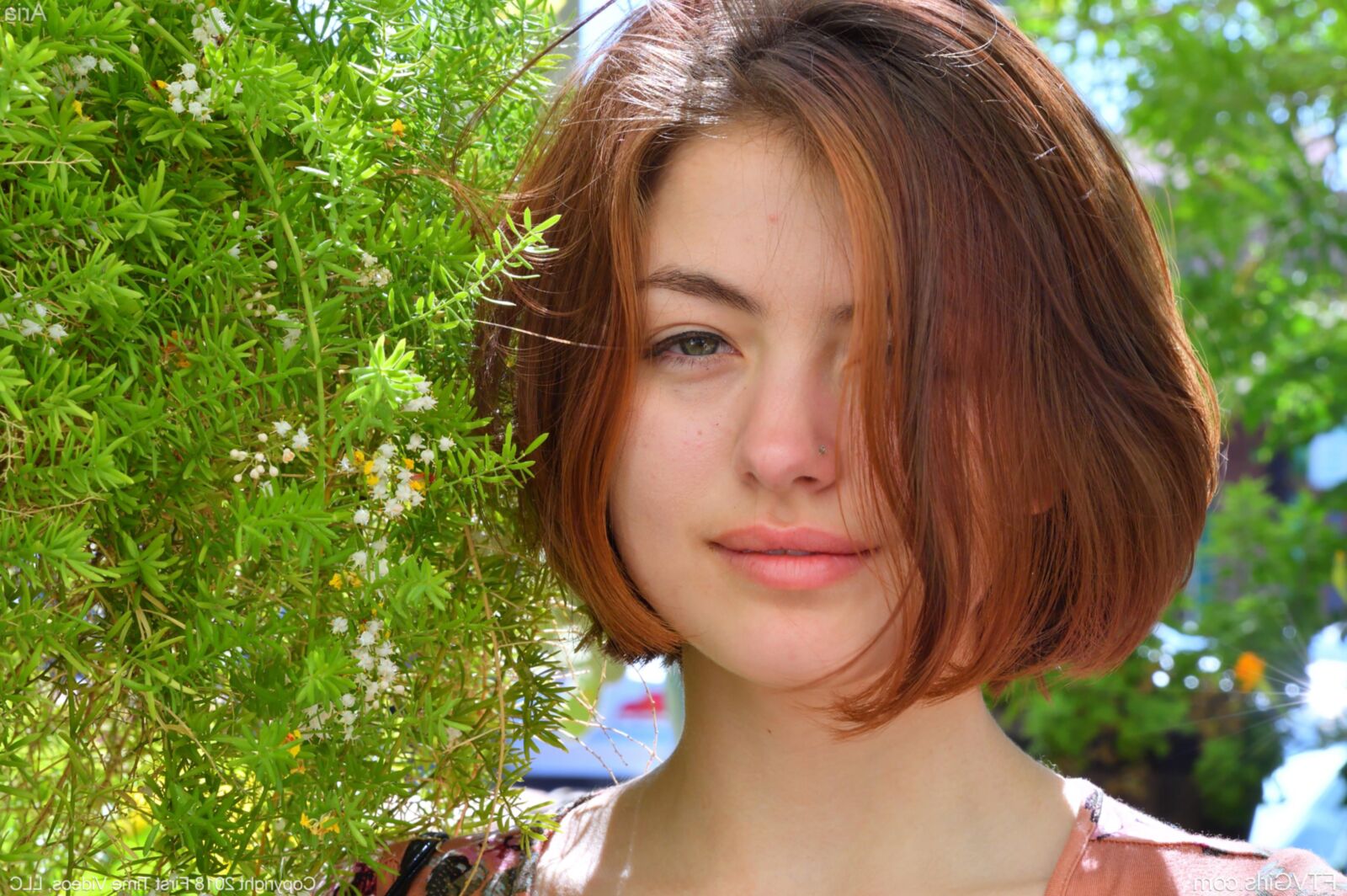 Ария Скай