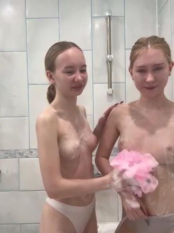 A collection of kittens with small tits 