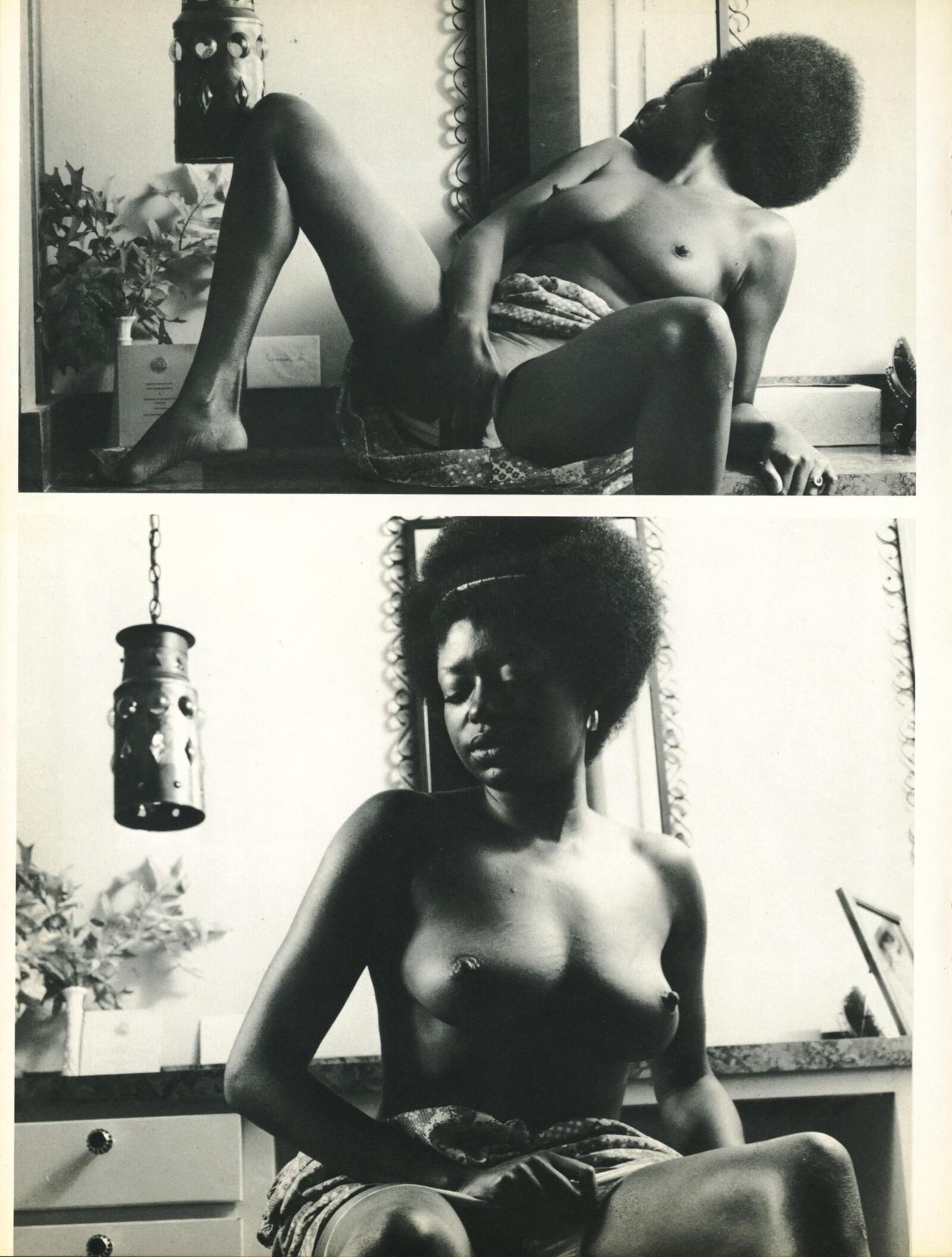 THEAU NOIR ()