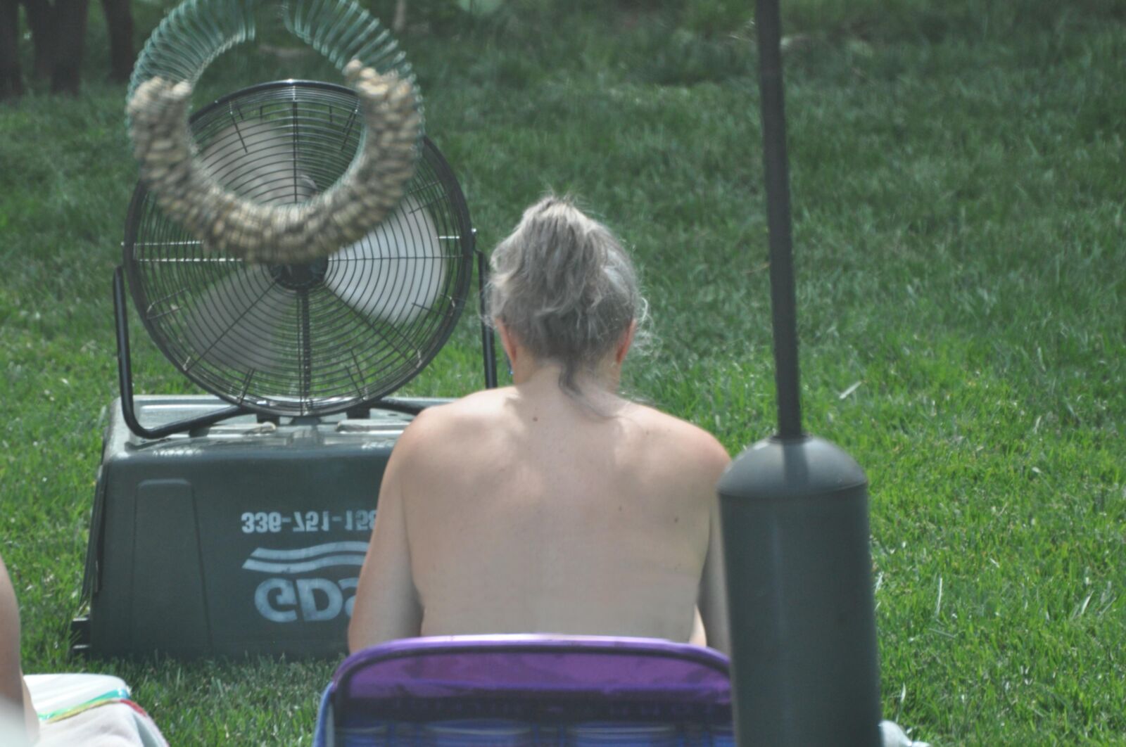 sunbathing 