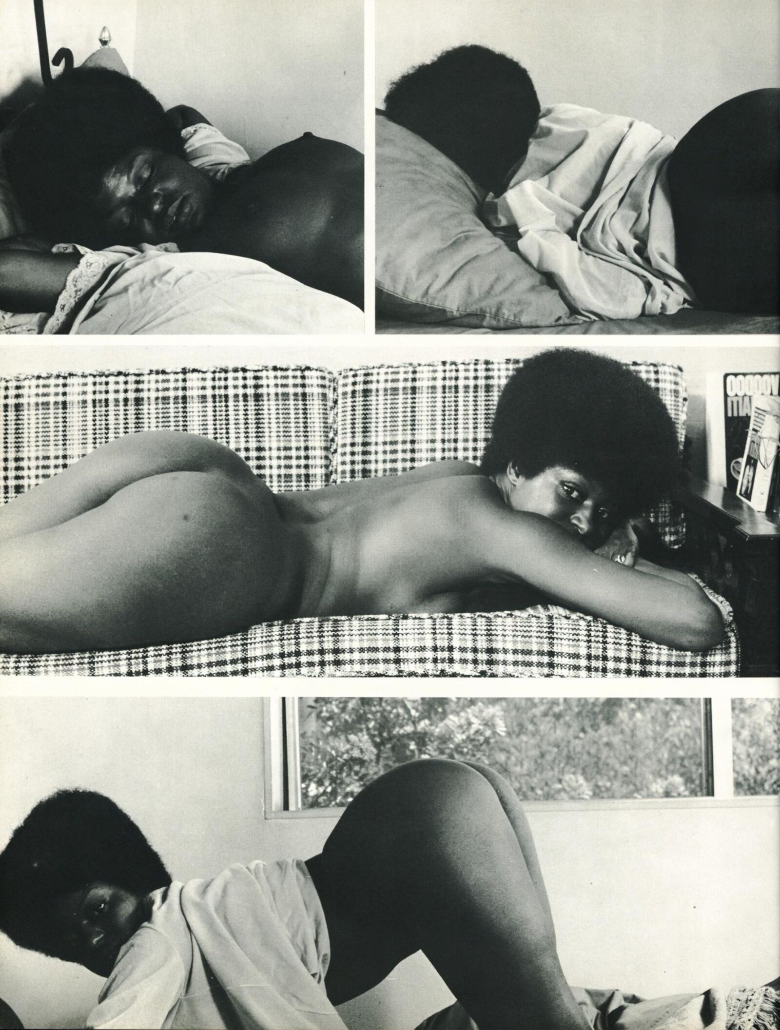 THEAU NOIR ()