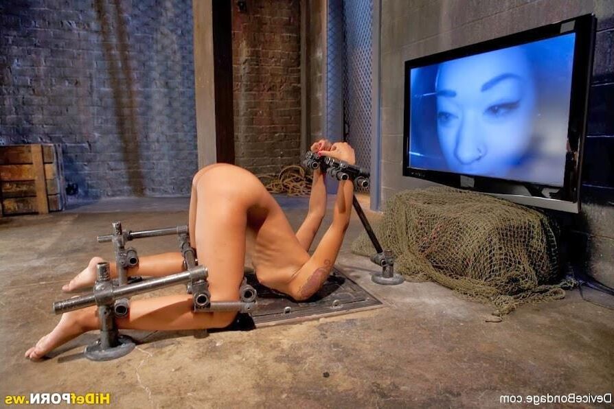 美しい景色